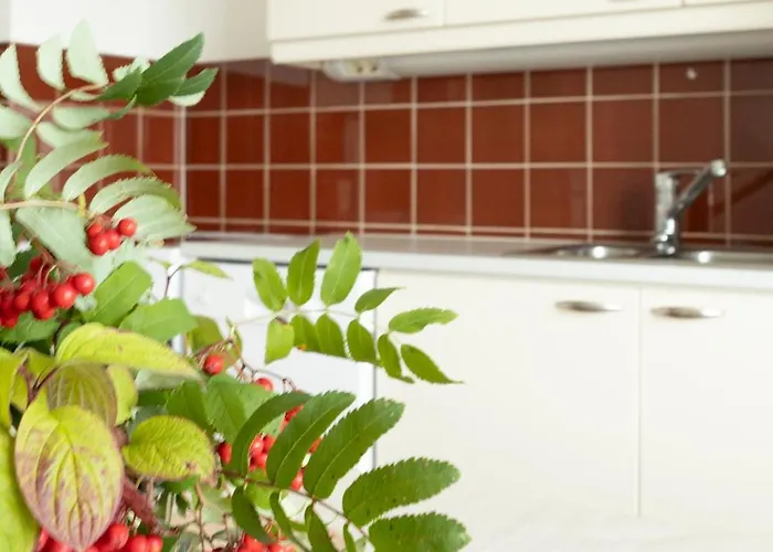 Aurora Riverside Haven 아파트 *